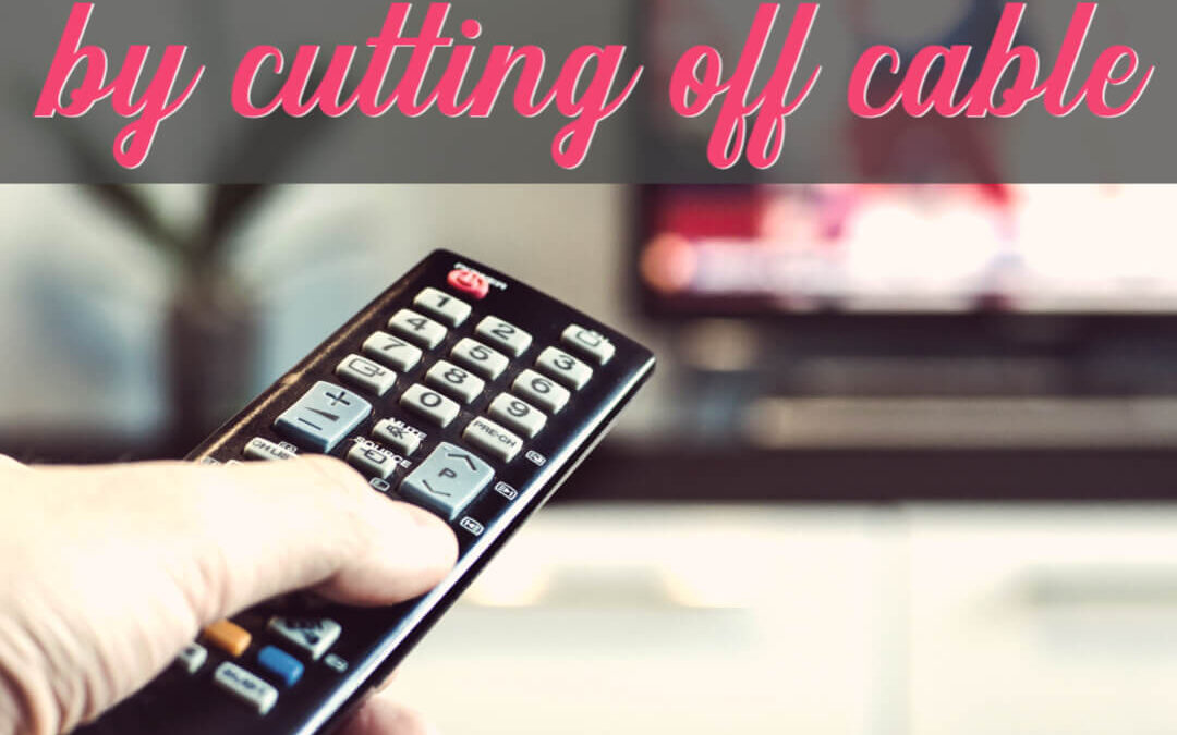 How We Saved $604 This Year Cutting Off Cable! {And Still Have Too Much TV To Watch!}