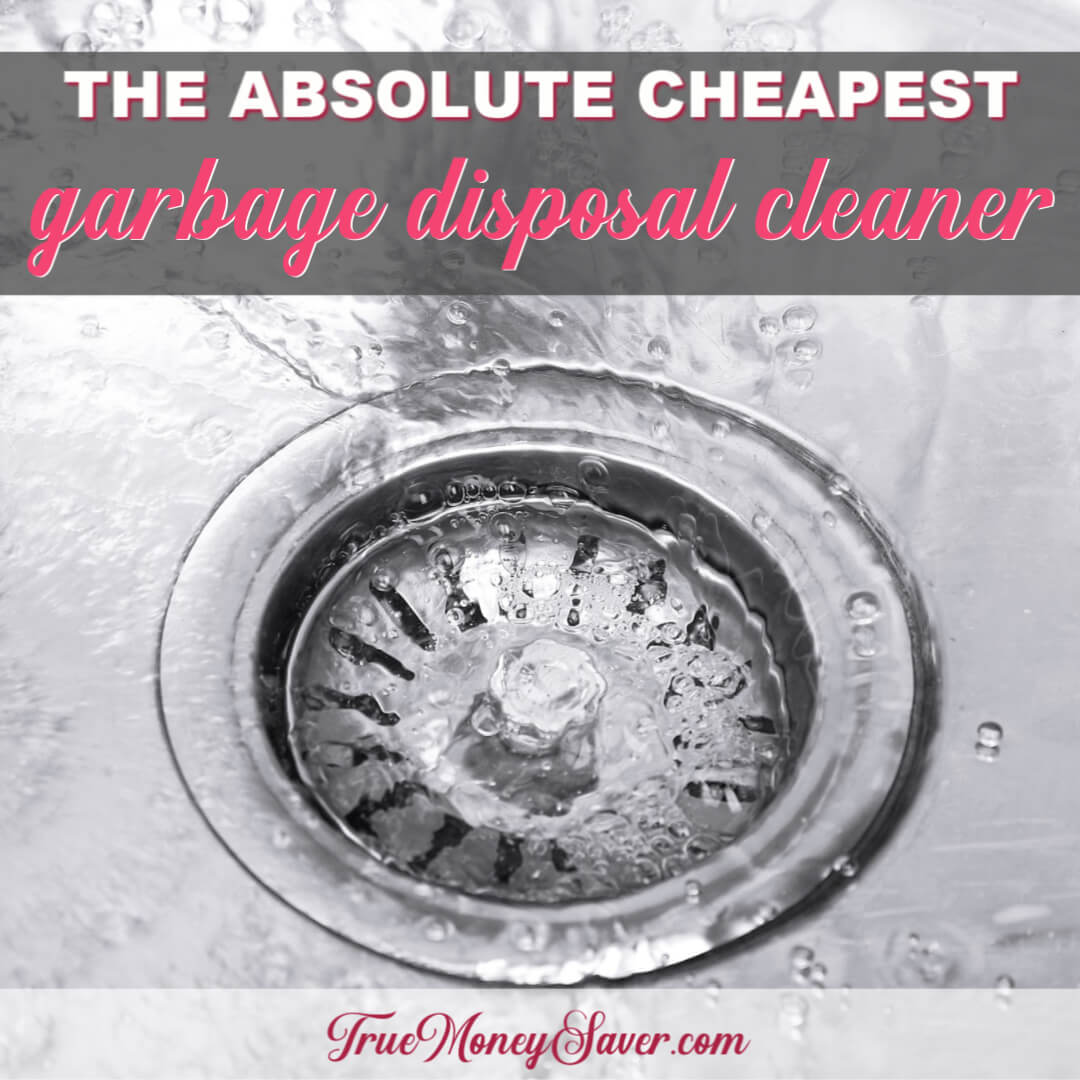 How To Clean A Stinking Garbage Disposal Easily