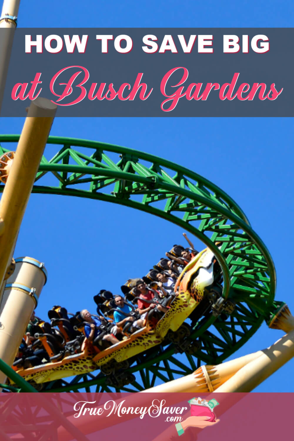 How To Save BIG At Busch Gardens