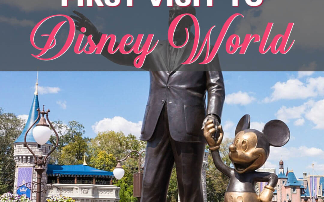 Tips To Get The Most On Your First Disney Dream Vacation
