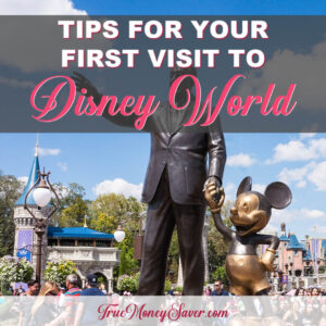 Tips To Get The Most On Your First Disney Dream Vacation