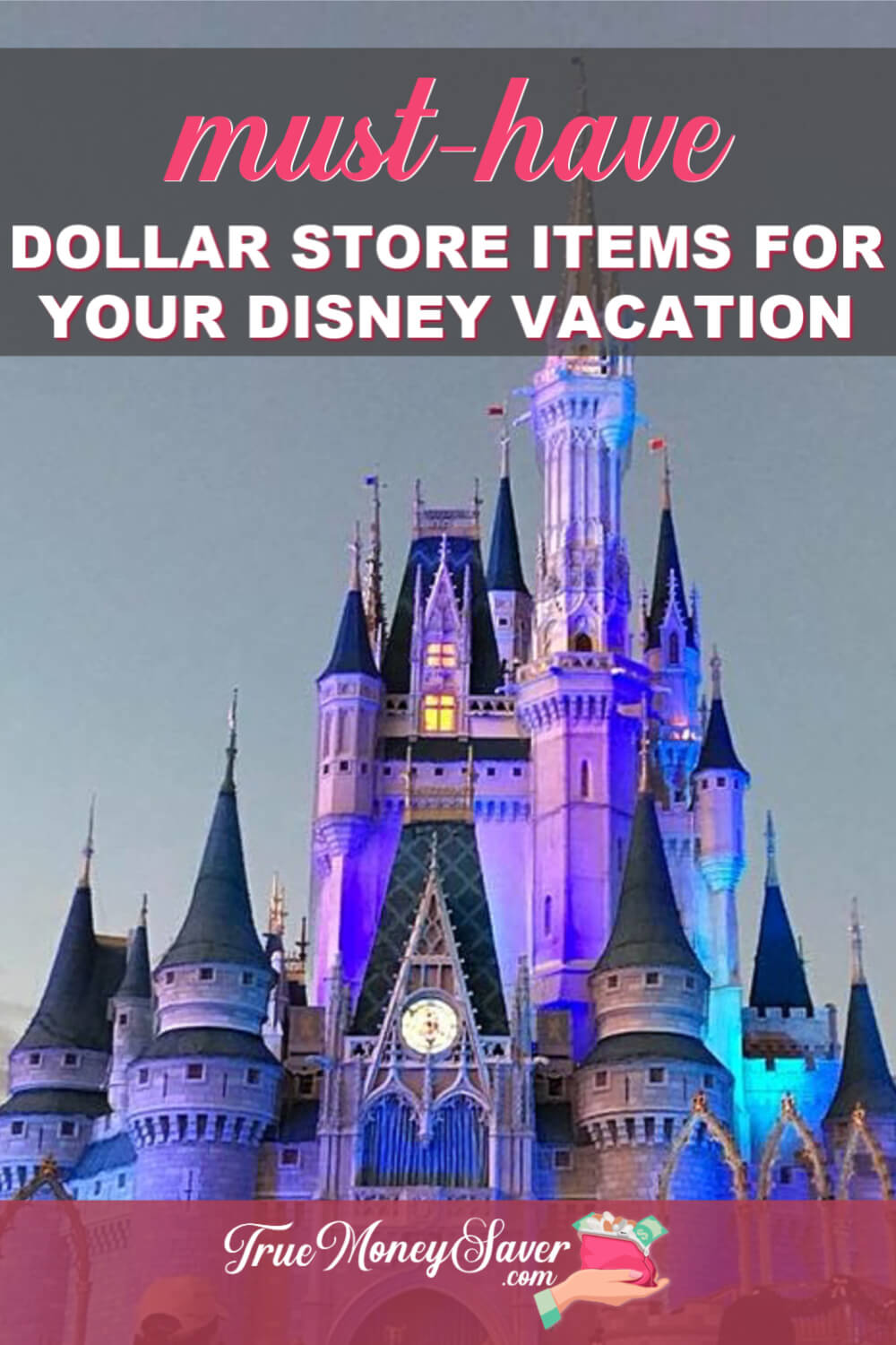 Must-Buy Dollar Store Items For Your Disney Trips