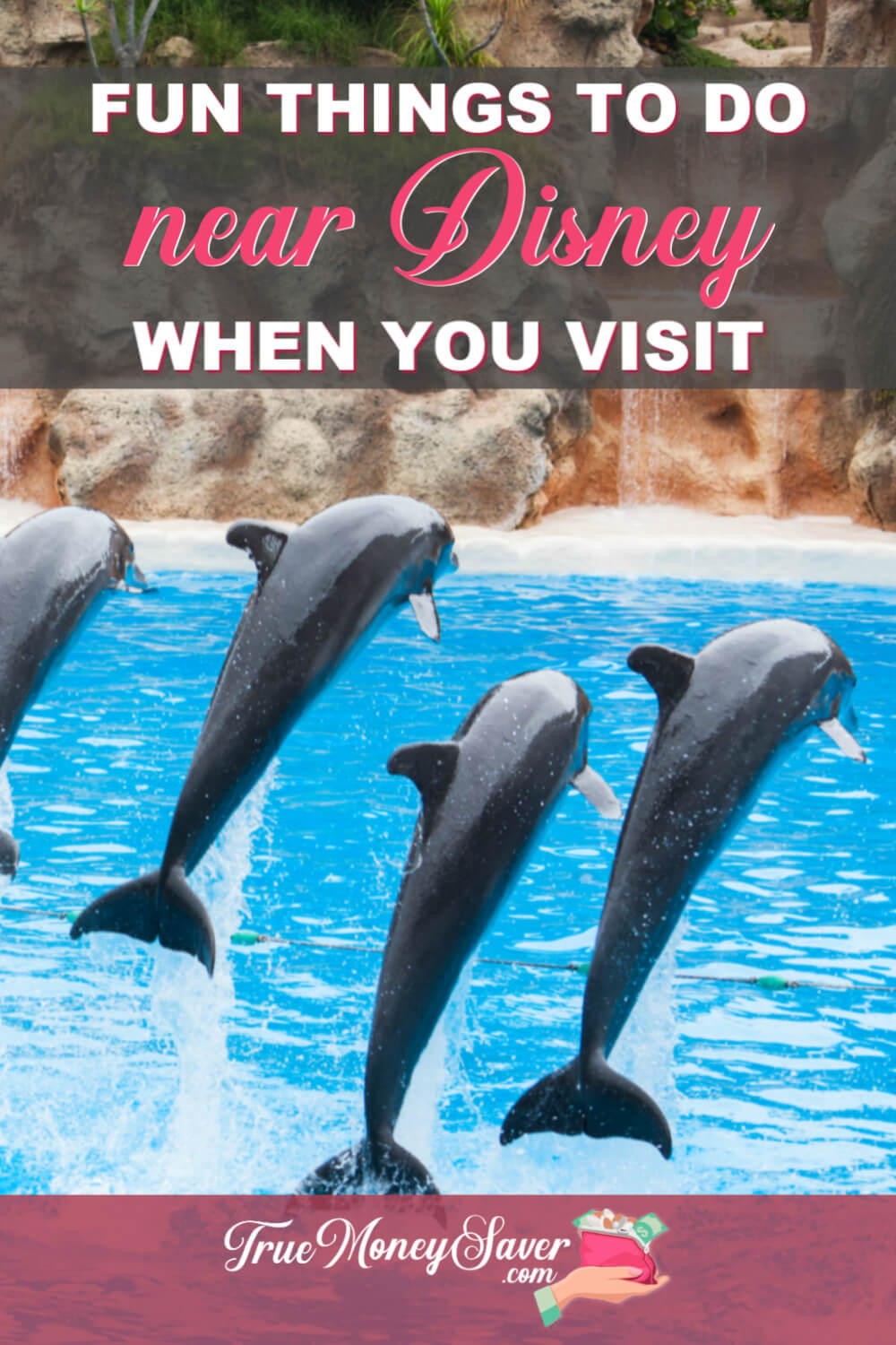 Other Fun Family Things To Do Near Disney When You Visit
